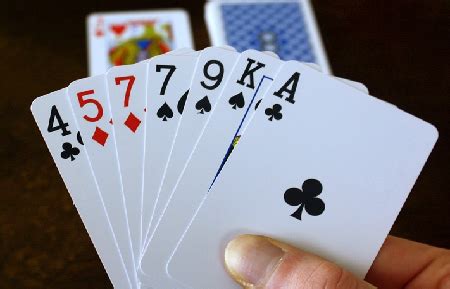 same suit cards|Card Suits .